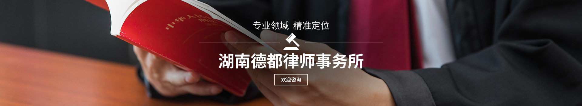 湖南德都律师事务所_综合性法律服务